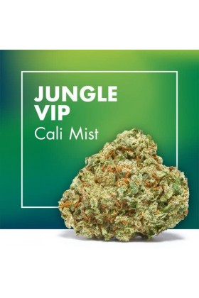 Fleurs de CBD Cannabis JUNGLE VIP   (Cali Mist)