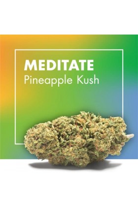 Fleurs de CBD Cannabis MEDITATE (Pineapple Kush)