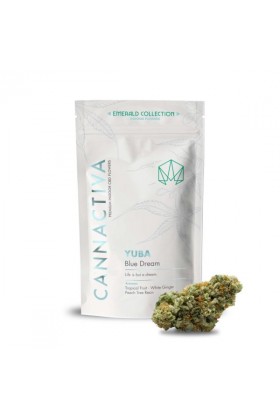 Fleurs de CBD Cannabis YUBA (Blue Dream)