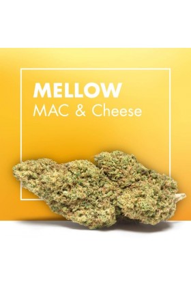 Fleurs de CBD Cannabis MELLOW (MAC & Cheese)