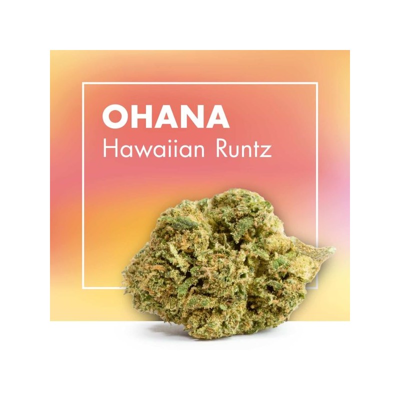 Fleurs de CBD Cannabis OHANA (Hawaiian Runtz)