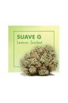 Fleurs de CBD Cannabis SUAVE G (Lemon Sorbet)