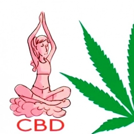 THC contre CBD